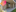 Störer Weimar Thumbnail 5