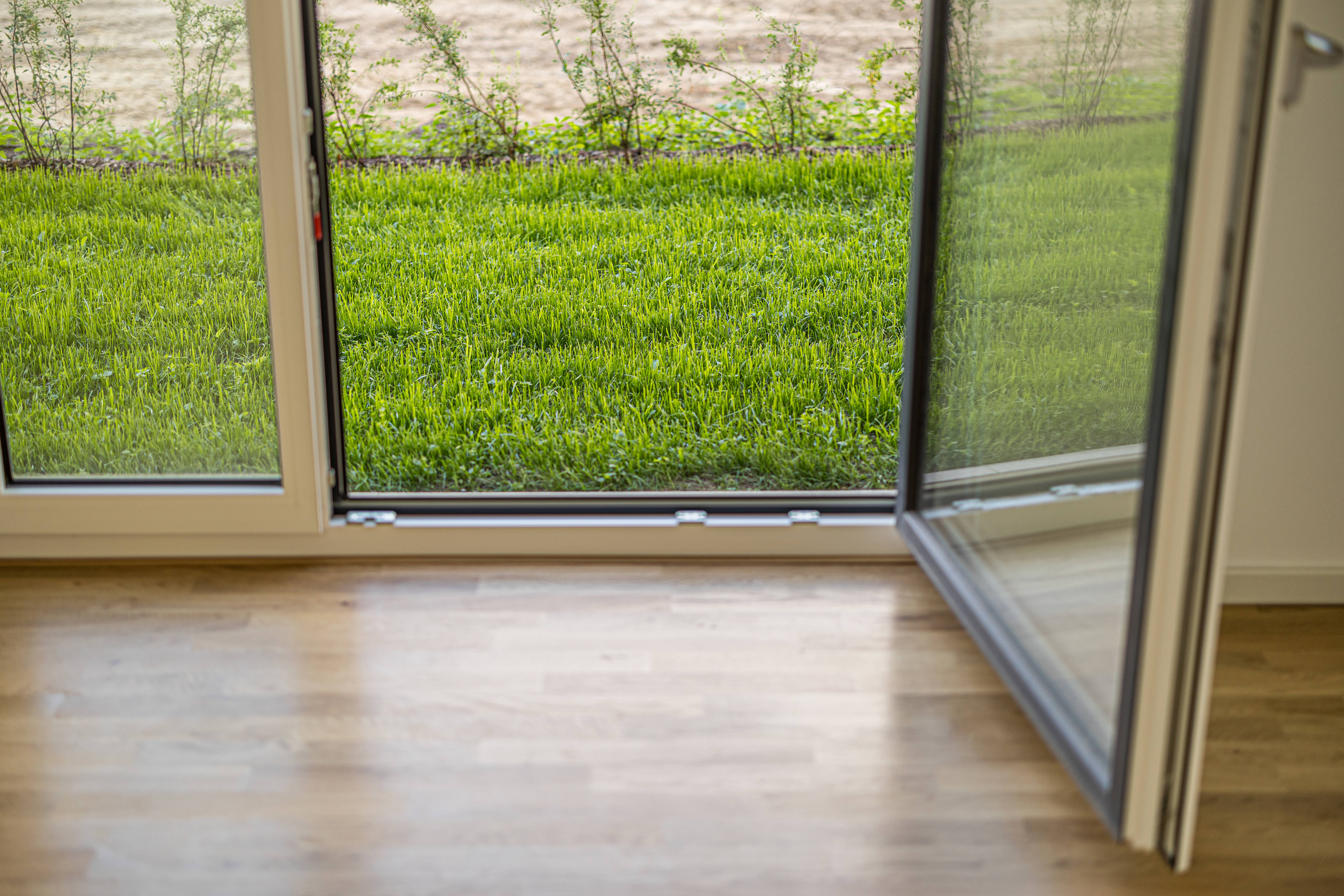 Detail Fenster Gras